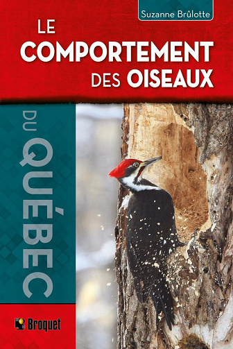Le comportement des oiseaux  -  Suzanne Brûlotte