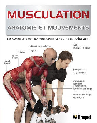 Musculation -   Pat Manocchia