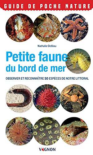 Petite faune du bord de mer - Observer et reconnaître 50 espèces de notre littoral (Guides de poche nature) -  Nathalie Delliou