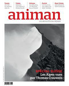 Animan - Juin-Juillet 2023