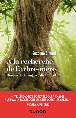 A la recherche de l'arbre-mère : Découvrir la sagesse de la forêt - Suzanne Simard (2022)