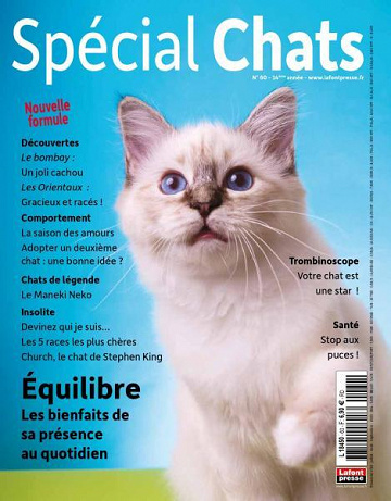Spécial Chats - Juillet-Septembre 2023