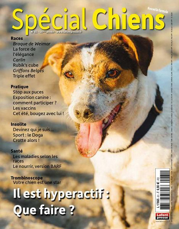 Spécial Chiens - Juillet-Septembre 2023