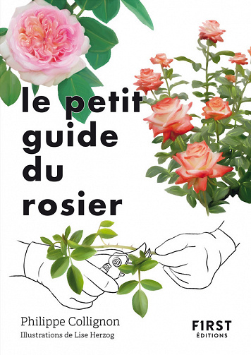 Le petit guide du rosier : 50 variétés à découvrir -  Philippe Collignon (2023)