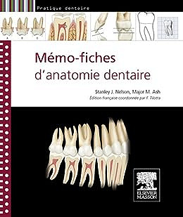 Mémo-fiches d'anatomie dentaire - Stanley J. Nelson