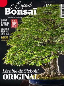 Esprit Bonsai - Août-Septembre 2023