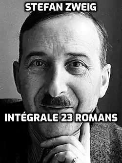 Stefan Zweig - Intégrale 23 romans