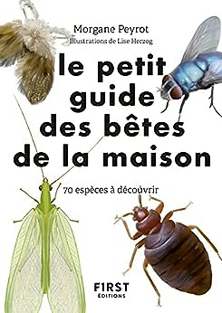 Petit guide d'observation des petites bêtes de la maison - Morgane Peyrot (2022)