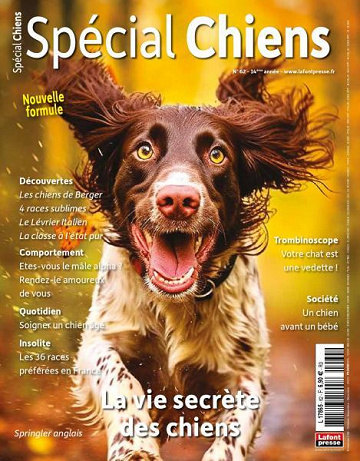 Spécial Chiens - Octobre-Décembre 2023