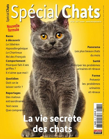 Spécial Chats - Octobre-Décembre 2023