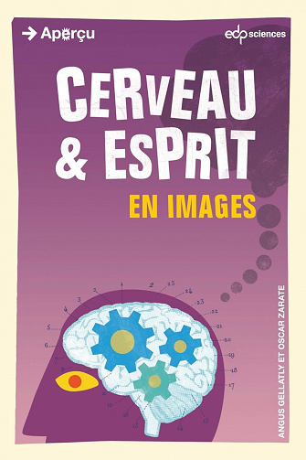 Cerveau et esprit en images - Angus Gellatly