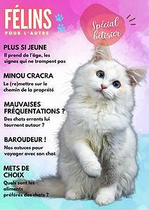 Félins Pour L’autre - Septembre 2023