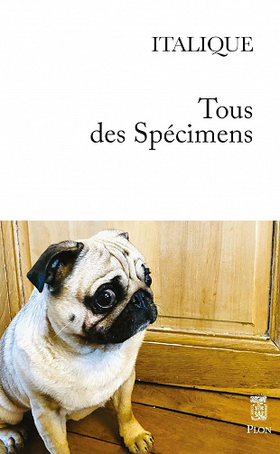 Tous des spécimens - Italique (2023)