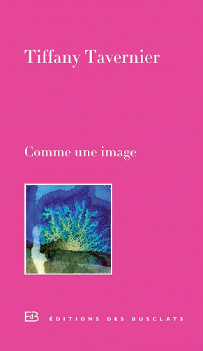 Comme une image - Tiffany Tavernier (2015)