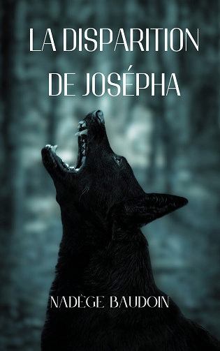 La Disparition de Josépha - Nadège Baudoin (2023)