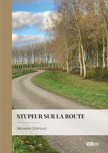 Stupeur sur la route - Sébastien Distriquin (2023)