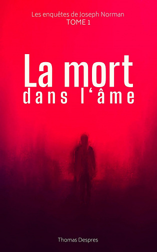Les enquêtes de Joseph Norman, Tome 1 : La mort dans l'âme - Thomas Despres (2023)