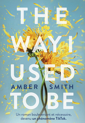 The way I used to be - Amber Smith (2023)