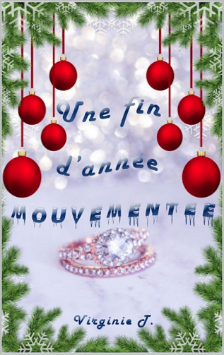 Une fin d'année mouvementée - Virginie T. (2023)