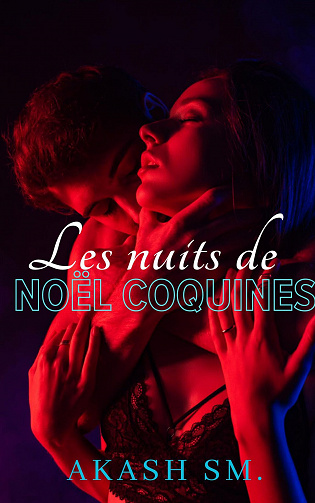 Les nuits de Noël coquines - AKASH SM. (2023)