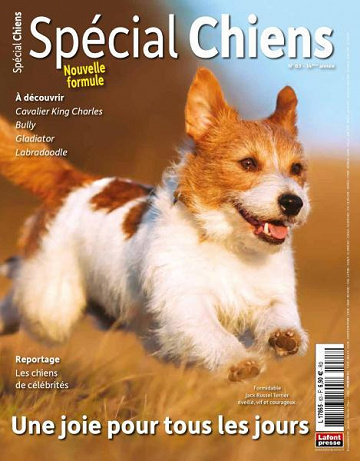 Spécial Chiens - Janvier-Mars 2024