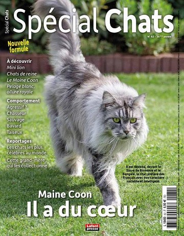 Spécial Chats - Janvier-Mars 2024