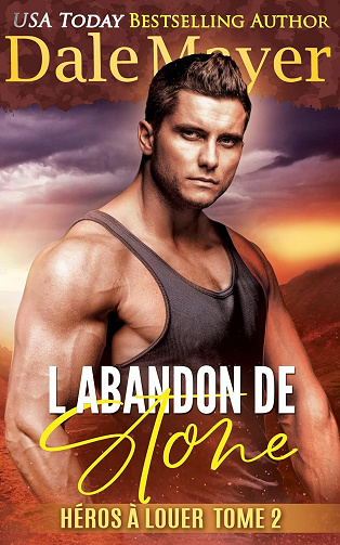 Héros à louer, Tome 2 : L'Abandon de Stone - Dale Mayer (2023)