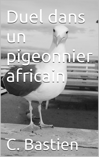 Duel dans un pigeonnier africain - C. Bastien (2023)
