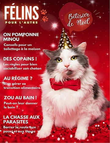 Félins Pour L’autre - Décembre 2023