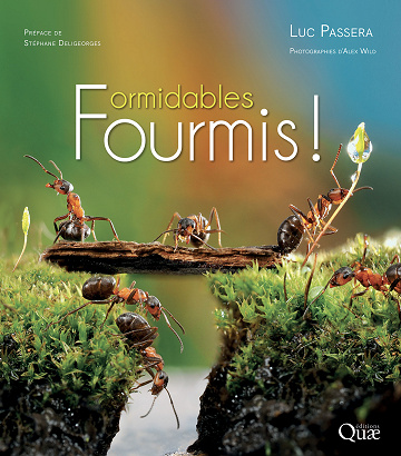 Formidables fourmis ! - Luc Passera (2022)