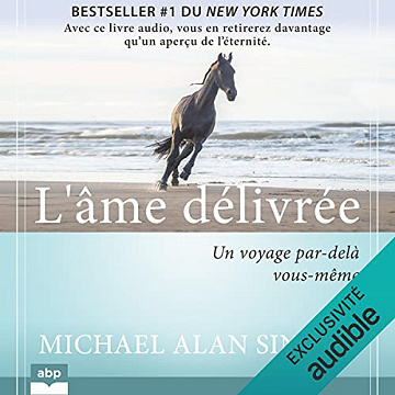 L'âme délivrée: Un voyage par-delà vous-même - Michael Alan Singer (2021)