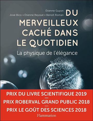 Du merveilleux caché dans le quotidien: La physique de l'élégance -  Étienne Guyon (2018)