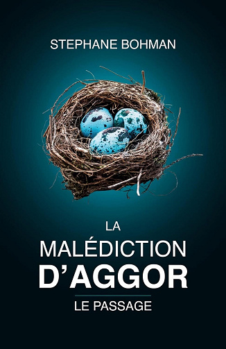 La Malédiction d'Aggor, Tome 1 : Le Passage - Stéphane Bohman (2022)