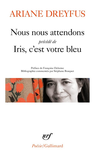 Nous nous attendons/Iris, c'est votre bleu -  Ariane Dreyfus (2023)