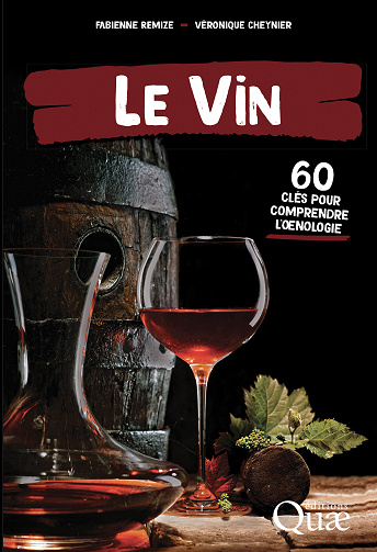 Le vin : 60 clés pour comprendre l'oenologie - Fabienne Remize, Véronique Cheynier (2023)