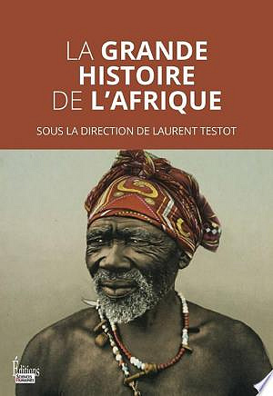 La grande histoire de l'Afrique - Laurent Testot (2023)
