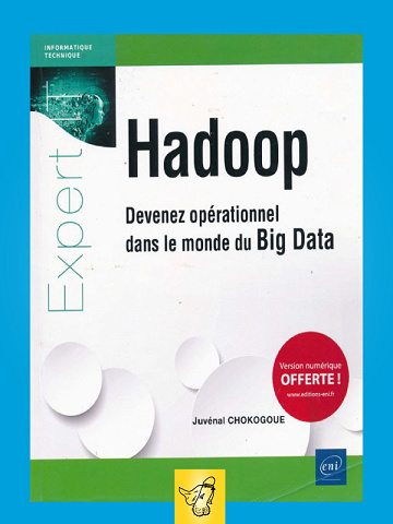 Juvenal Chokogoue - Hadoop