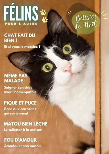 Félins Pour L’autre - Mars 2024