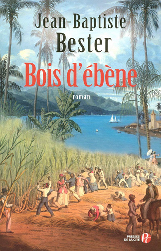 Bois d'ébène - Jean-Baptiste Bester (2008)