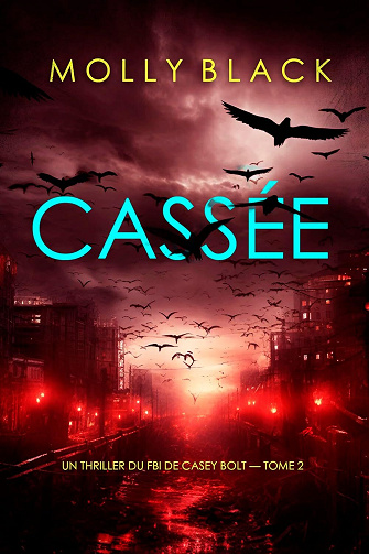 Casey Bolt, Tome 2 : Cassée - Molly Black (2024)