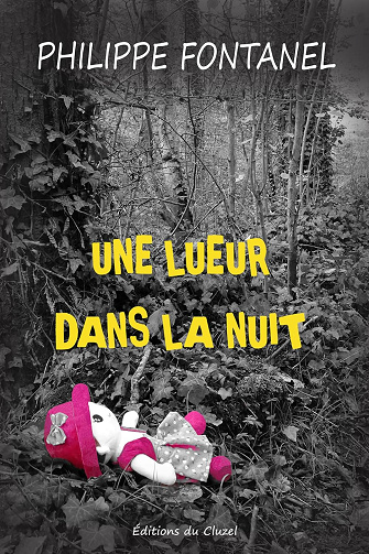 Une lueur dans la nuit - Philippe Fontanel (2024)