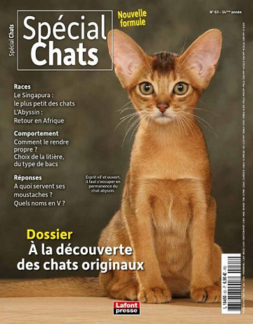 Spécial Chats - Avril-Juin 2024