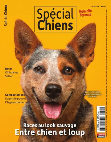 Spécial Chiens - Avril-Juin 2024