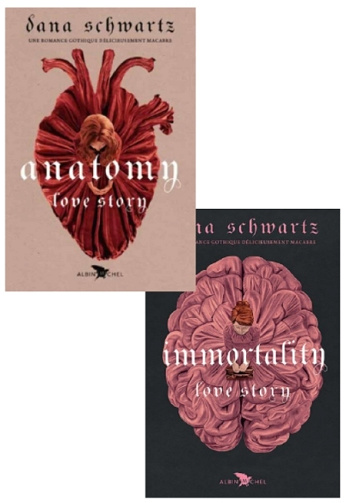 Love Story (T1 à T2) FR - Dana Schwartz