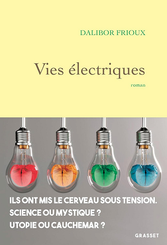 Vies électriques -  Dalibor Frioux (2024)