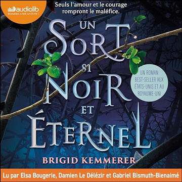 Un sort si noir et éternel - Brigid Kemmerer (2023)