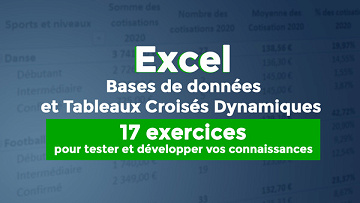 [Elephorm] Bases de données et Tableaux Croisés Dynamiques : 17 exercices pour tester ou développer: vos connaissances