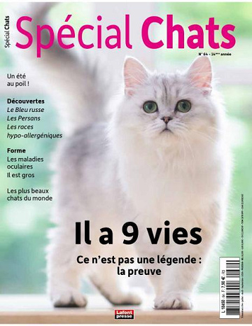 Spécial Chats - Juillet-Septembre 2024