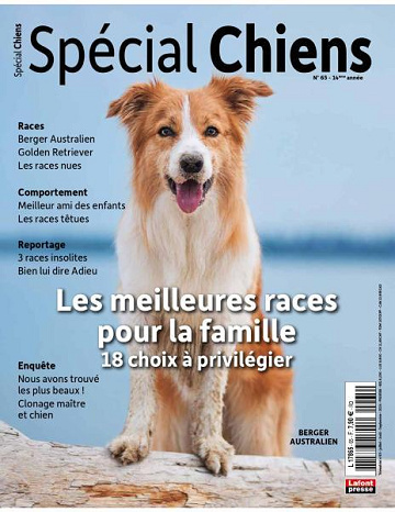 Spécial Chiens - Juillet-Septembre 2024