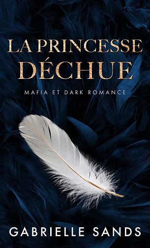 The Fallen, Tome 2 : La Princesse déchue - Gabrielle Sands (2024)